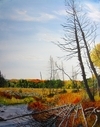 Autumn Swamp