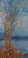 Birch Tree