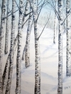 Winter Birches